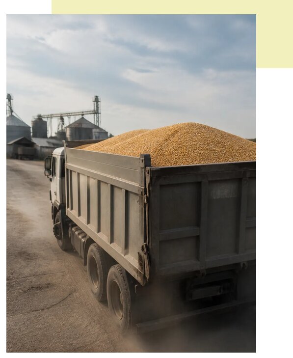 Перевозка сельхозпродукции навалом в Кстово по цене от 3055 р. | Агросервис-Ксв